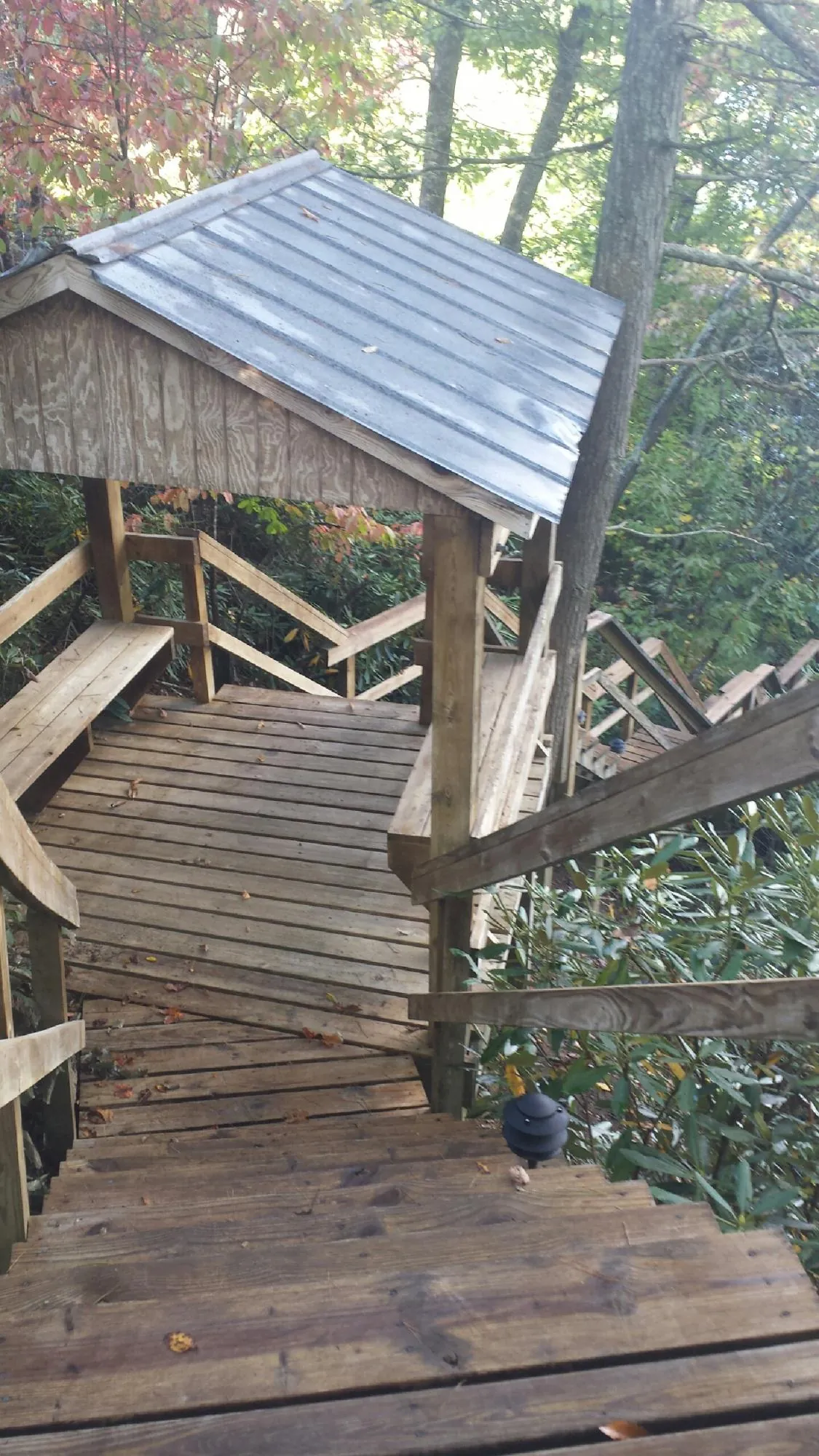 Metal roofed shelter over wooden steps on a wooded walkway — Skylight Repair & Installation work by our crew in Dana